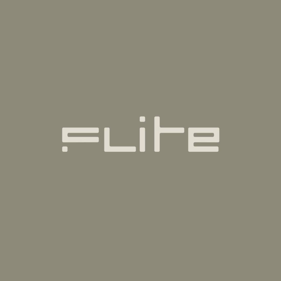 Flite board logo