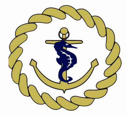 Project-Maritime-Survival-Offshore-Training-South-Africa-logo